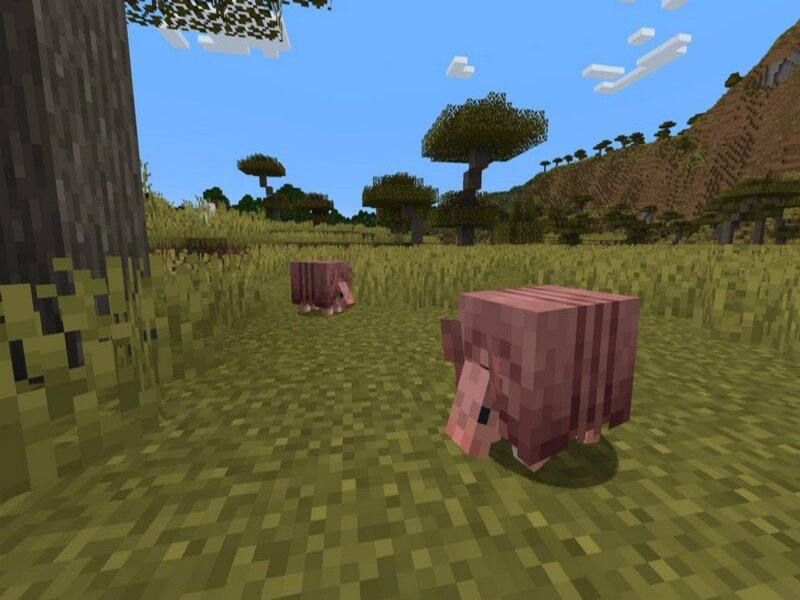 Armadillo là động vật mới xuất hiện trong Minecraft 1.21.0 Apk Tiếng Việt
