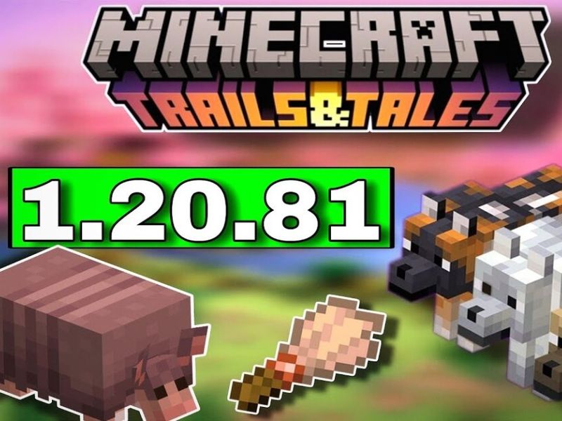 Tổng quan về phiên bản game Minecraft 1.20.81