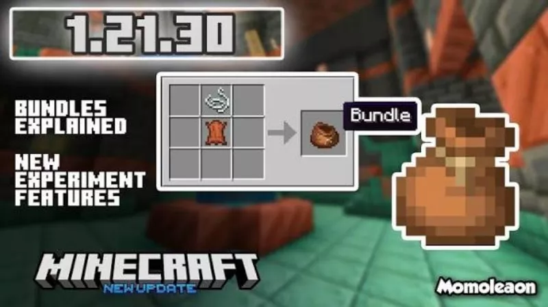 minecraft 1.21.30