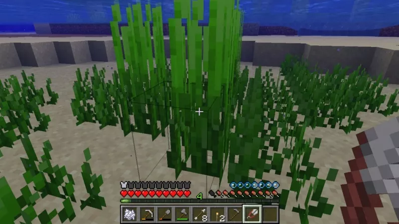 minecraft 1.21.30