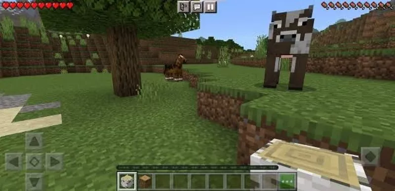 minecraft 1.20.72