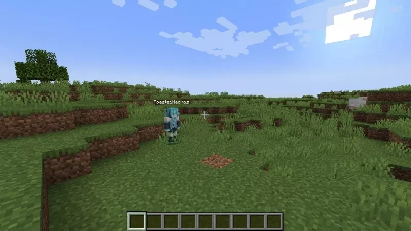 minecraft 1.21.21