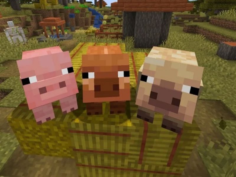 Biến Thể Mới Của Lợn và Bò Trong Minecraft 1.21.71 APK