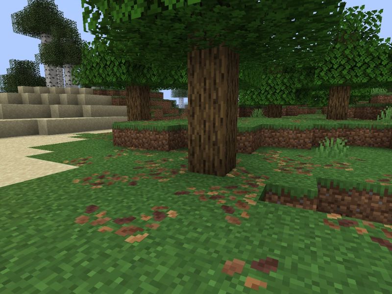 Cải Tiến Tính Năng Leaf Litter Trong Minecraft 1.21.70 APK