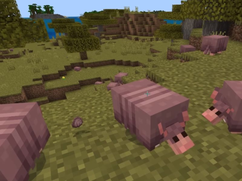 Cừu Với Màu Sắc Mới Trong Minecraft 1.21.70 APK