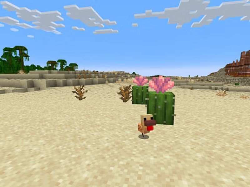 Hoa Xương Rồng Trong Minecraft 1.21.72 APK
