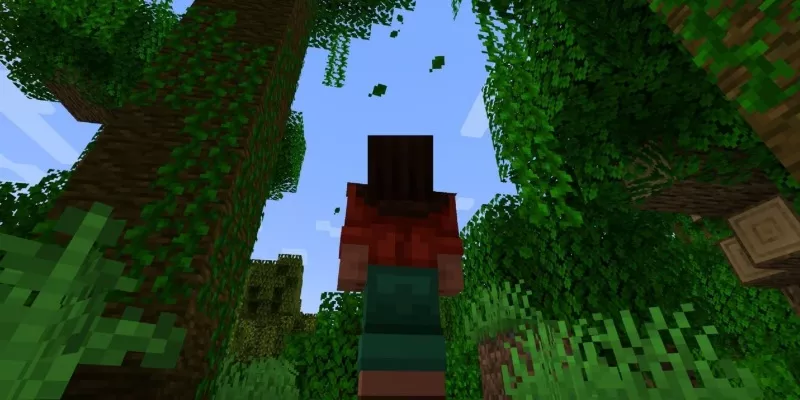 minecraft 1.21.70