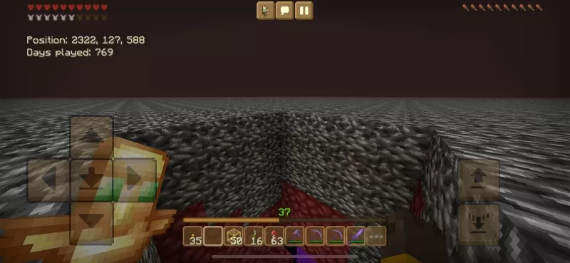 minecraft 1.21.71