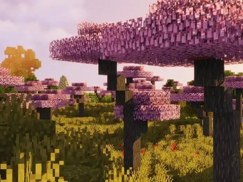 Rừng Hoa Anh Đào Trong Minecraft 1.19.83 APK