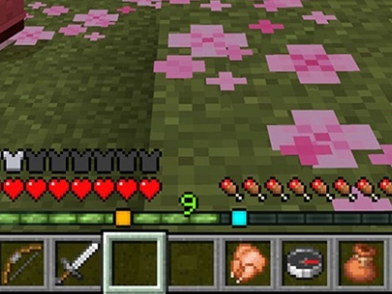 Thanh Định Vị Trong Minecraft 1.21.90 APK