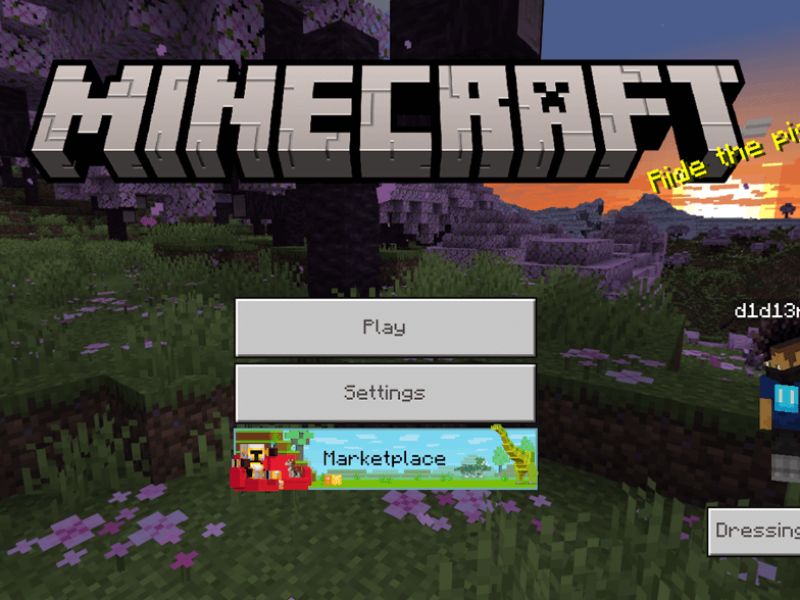 Các Tính Năng Nổi Bật Của Server Minecraft