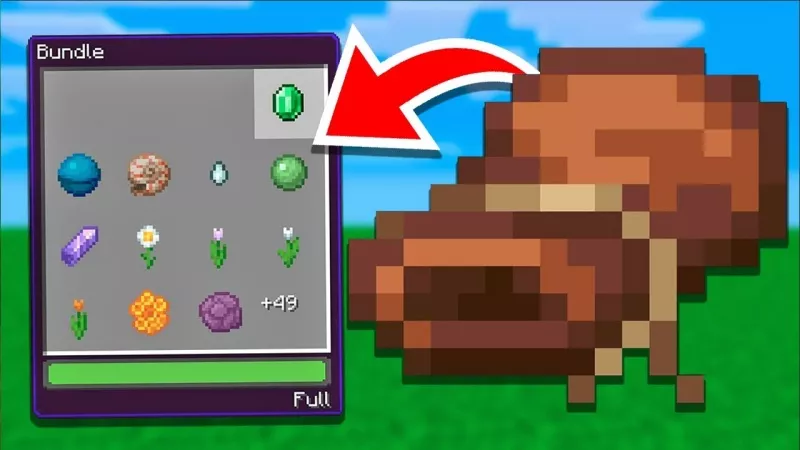 minecraft 1.21.62
