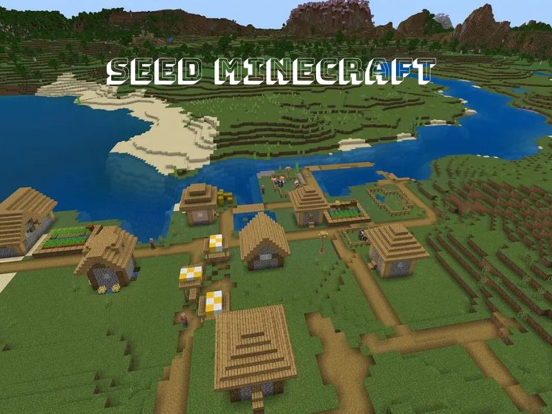 Thông tin Về Seed Minecraft