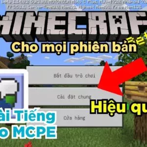 Cách cài đặt tiếng Việt cho Minecraft