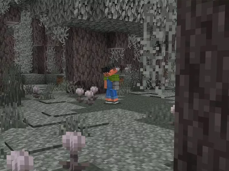 Hệ sinh thái Pale Garden trong Minecraft 1.21.51 Tiếng Việt