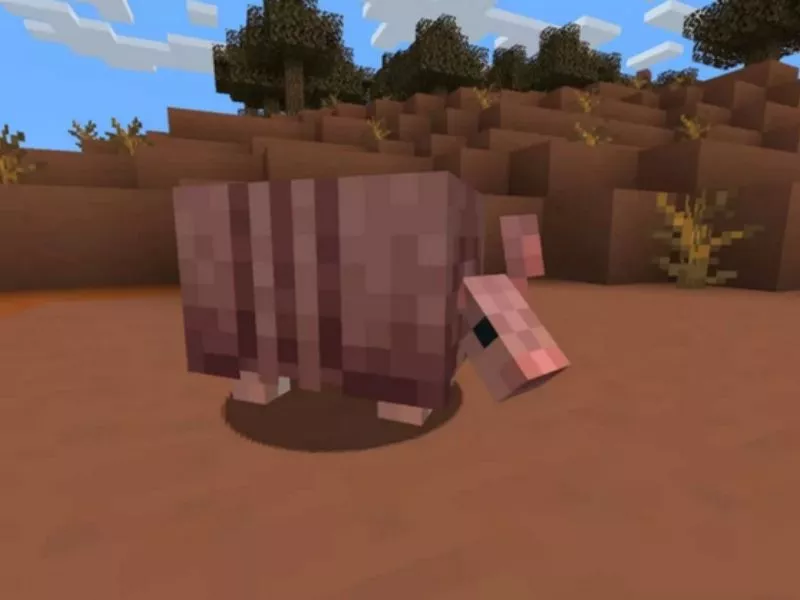 Cải tiến Armadillo hữu ích trong Minecraft 1.20.80 APK