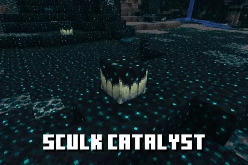 minecraft 1.19.20