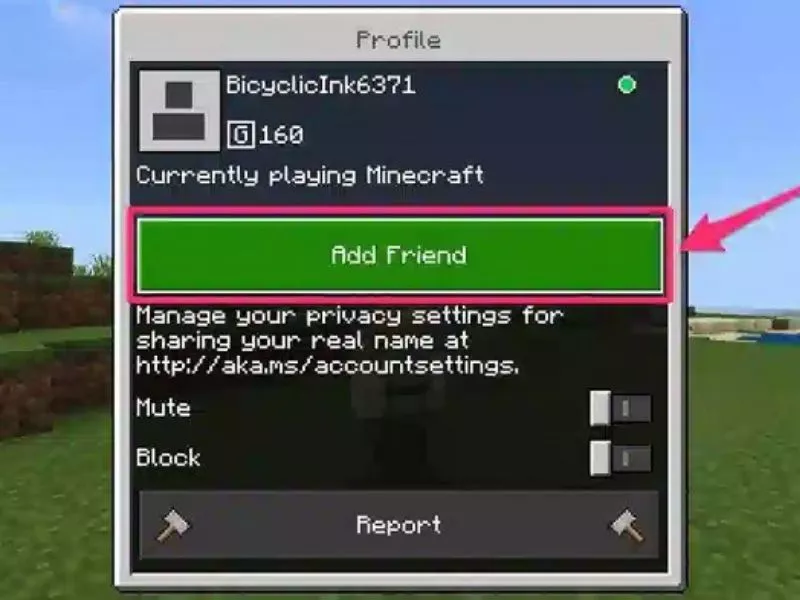 Nâng cấp tính năng tìm bạn bè trong Minecraft 1.20.80 APK