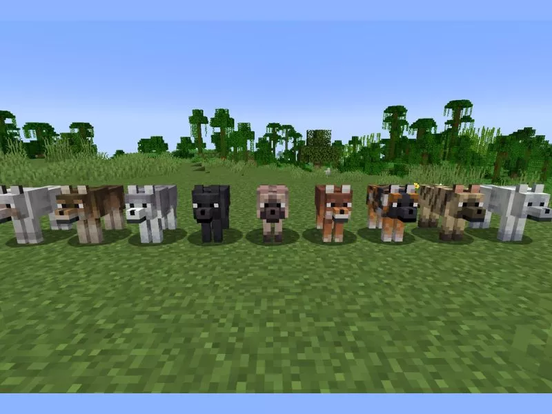 Thêm biến thể và tùy chỉnh chỉ số sói trong Minecraft 1.20.80 APK