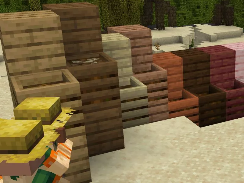 Tính năng mới cho một số khối trong Minecraft 1.19.20 Tiếng Việt