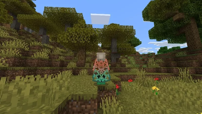minecraft 1.21.114