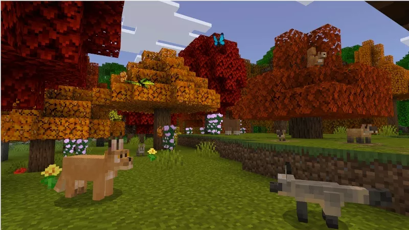 Wilderness Add-On