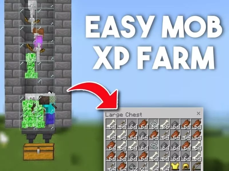 Một Số Mô Hình Trang Trại EXP Hiệu Quả