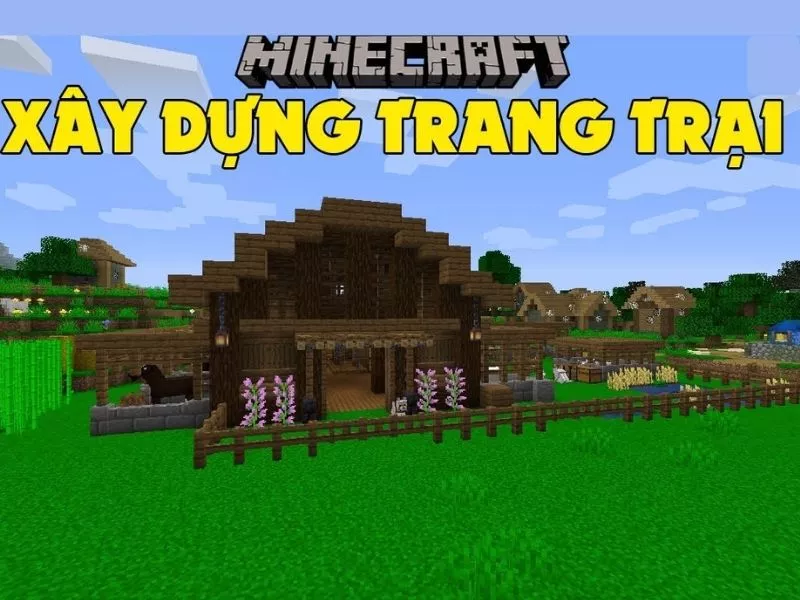 Một Số Thông Tin Về Trang Trại EXP