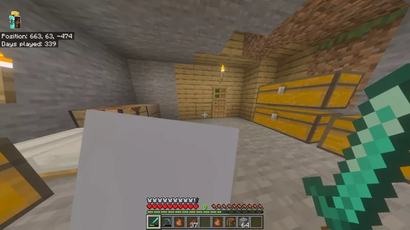 Minecraft 1.21.132