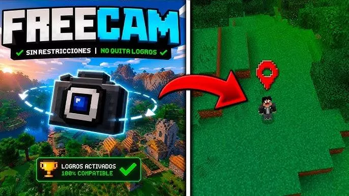 Freecam hỗ trợ những hoạt động nào?