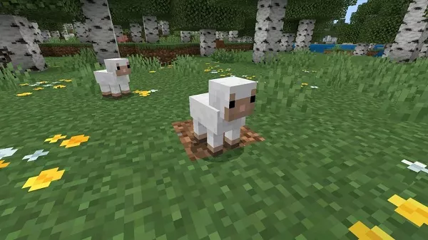 Golden Dandelion Trong Minecraft 1.26.10